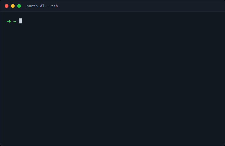 parth-dl CLI demo showing progress bar and saved Instagram reel file